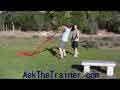 Power Sled Lateral Rear Raises