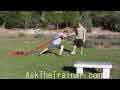Power Sled Shoulder Press
