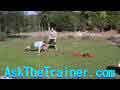 Power Sled Squat Row and Pushup