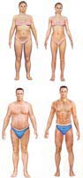 Personal Workout Program