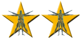 2 Stars Only for a few People