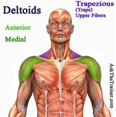 tube lateral raises deltoid exercise videos workout videos