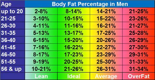 Average Body Fat Men 99