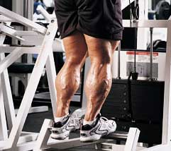 Best Calf Exercises