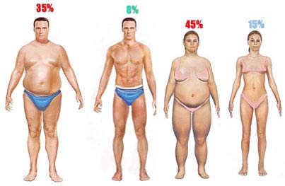 Body Composition is one of the 5 Basic Components