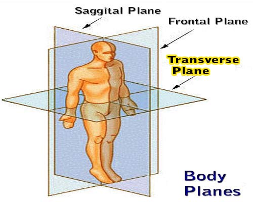 Transverse Plane Exercises