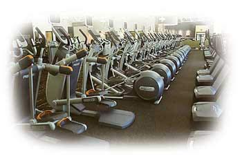 Overall Health and Wellness