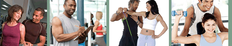 Workouts Custom Workout Plan Exercise program