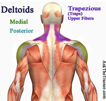 tube lateral raises shoulder workout videos exercises on video