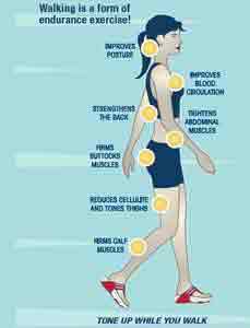 Toning Effects of Sketchers Tone Ups