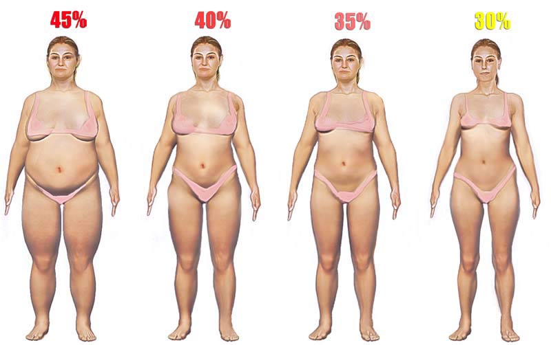 Body Fat Pics