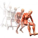 Anatomy Diagram of the Human Body Anatomy Diagram of the Human Body