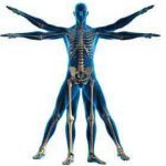 Resistance Training for Runners Resistance Training for Runners