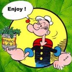Top 5 Green Vegetables – Super Green Veggies Top 5 Green Vegetables – Super Green Veggies