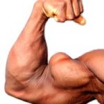 Top 5 Best Biceps Exercises for Size and Tone Top 5 Best Biceps Exercises for Size and Tone
