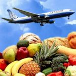 Staying Active and Eating Healthy While Traveling