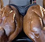 The Top Show and Sport Muscles The Top Show and Sport Muscles