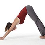Yoga Exercise Plan for Beginners