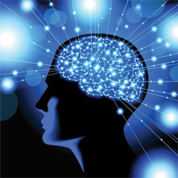 Best Ways to Boost Brain Function: Lifestyle, Supplementation, and Brain Exercise Best Ways to Boost Brain Function: Lifestyle, Supplementation, and Brain Exercise