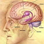 How to Use the Power of the Mind-Body Connection to Support Your Health & Fitness Goals How to Use the Power of the Mind-Body Connection to Support Your Health & Fitness Goals