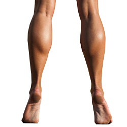 What are some stretching exercises for the shin and lower leg?