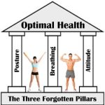 The Three Forgotten Pillars of Optimal Health The Three Forgotten Pillars of Optimal Health