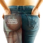 Glute Activation Exercises for Lower Crossed Syndrome Glute Activation Exercises for Lower Crossed Syndrome