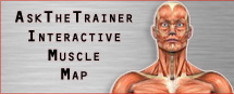 interactive exercise guide