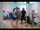 BOSU Twisting Lunges