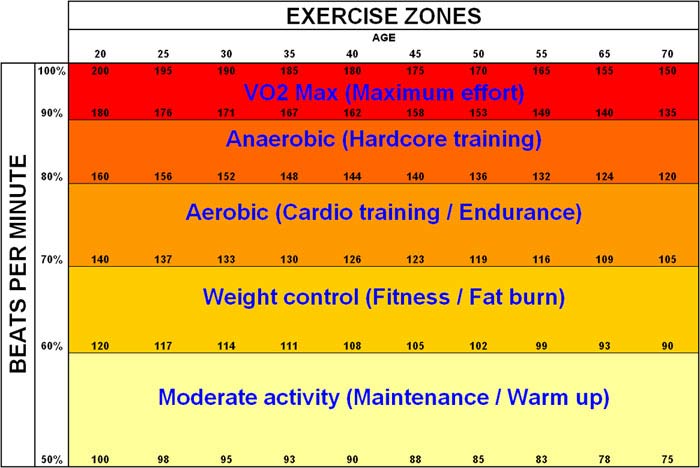 cardio fat burning zones