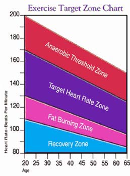 Fat Loss Heart Rate Chart