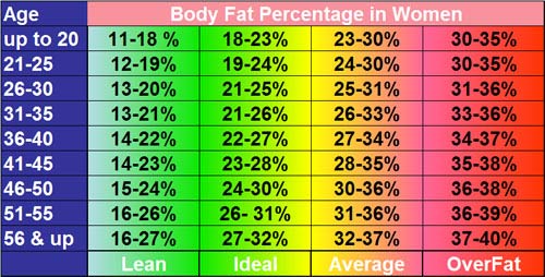 Nsca Body Fat Percentage Charts