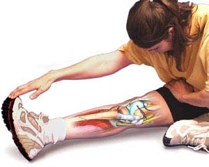 p90x flexibiility