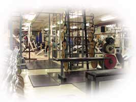 Free Weights Gym Equipment