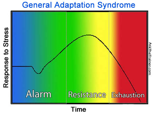 General Adaptation Syndrome Weight Training