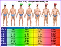 Visual Body Composition Analysis Chart