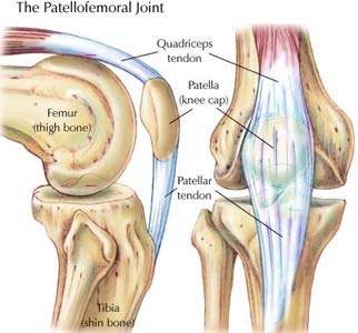 knee saddle joint patella lunge exercise