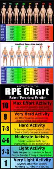 personal trainer charts