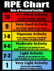 Personal Trainer Forms And Charts