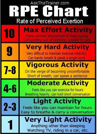 Cardio Exercise Heart Rate Chart
