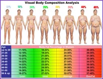 Visual Body Composition Analysis Chart