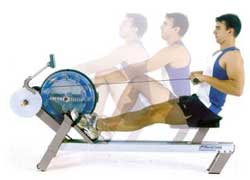 rowing workouts cardio training