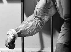 forearms exercise