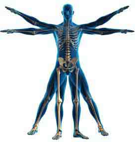Best Weight Training Exercises for Long Distance Runners