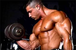 bodybuilder lifting weights THE TOP SHOW AND SPORT MUSCLES