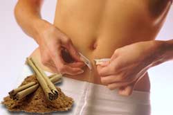 cinnamon and weight loss cinnamon and weight loss