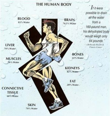 The Health Benefits of Drinking Water Daily