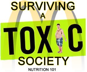 Logo Nutrition 101