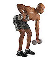 Bent Over Rows Top 5 Body Transformation Exercises - Bent Over Rows