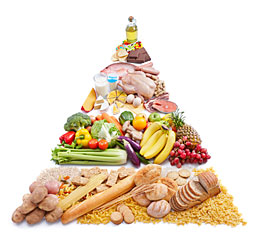 nutrition tips for Women to Lose Belly Fat Fast